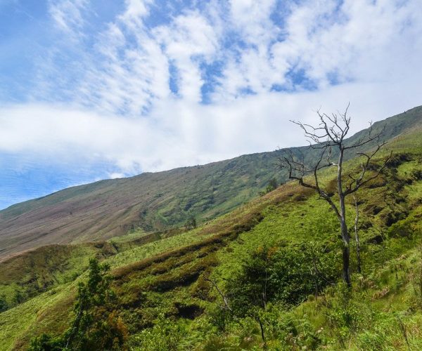 11011357204_a9548965e1_b