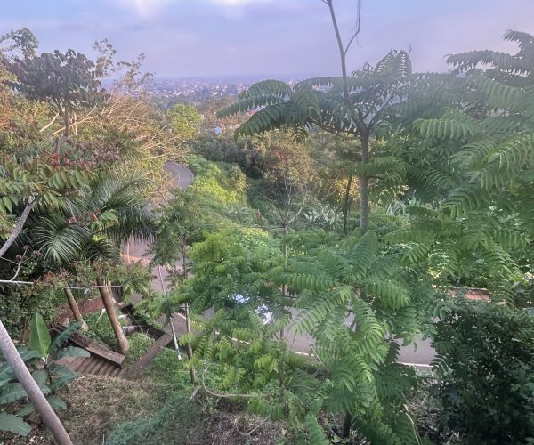 1B2E7E93-EEAE-48E9-8B1F-5A96F7ABBD99