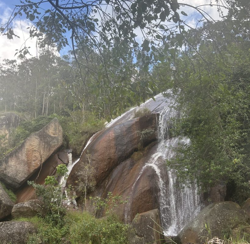 C6A54C6D-A46F-4C9C-A927-08B894D80854