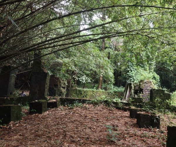 IMG_20231128_102226071