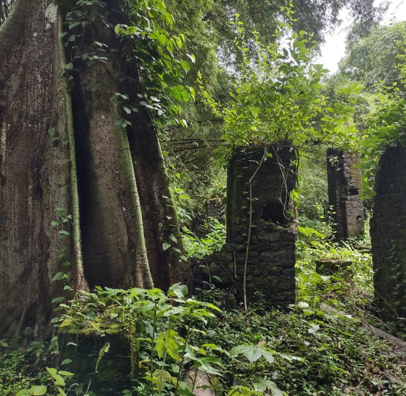 IMG_20231128_103119293_HDR